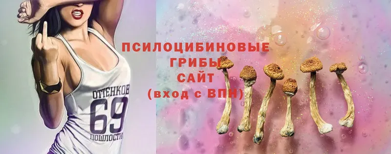 Псилоцибиновые грибы MAGIC MUSHROOMS  MEGA зеркало  Бокситогорск 